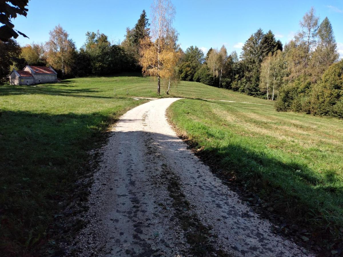 Vila Al Salt Belluno Exteriér fotografie